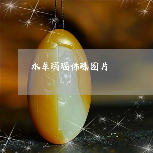 水草玛瑙佛珠图片/2023071527149