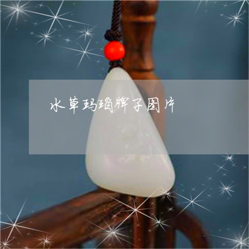 水草玛瑙牌子图片/2023121902594