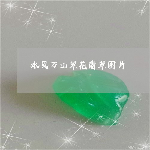 水贝万山翠花翡翠图片/2023092962825