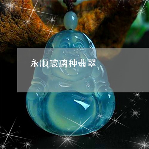 永顺玻璃种翡翠/2023062235250