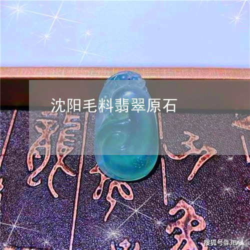 沈阳毛料翡翠原石/2023071491694