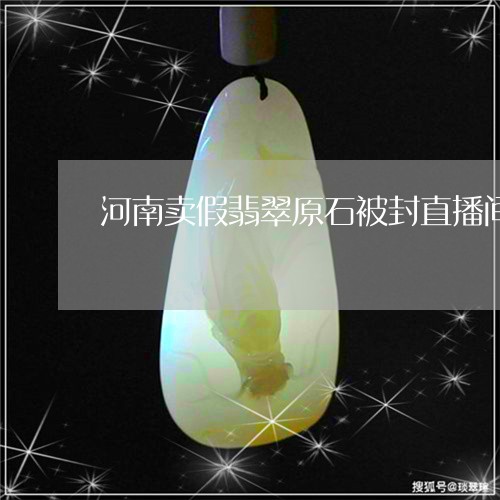 河南卖假翡翠原石被封直播间/2023100522825