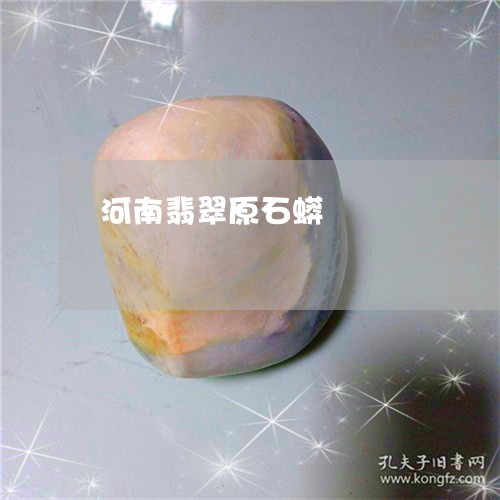 河南翡翠原石蟒/2023062203725