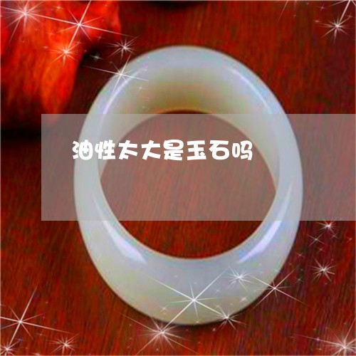 油性太大是玉石吗/2023121893604