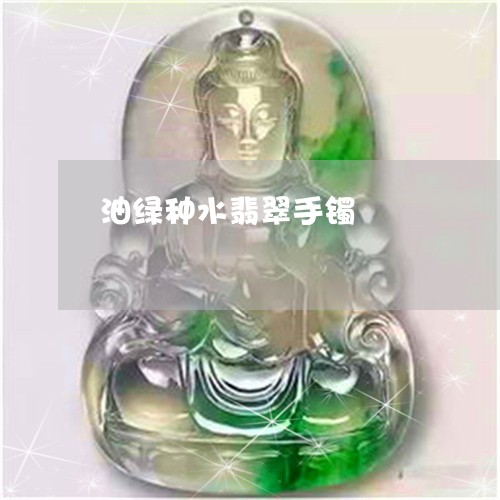 油绿种水翡翠手镯/2023071471707