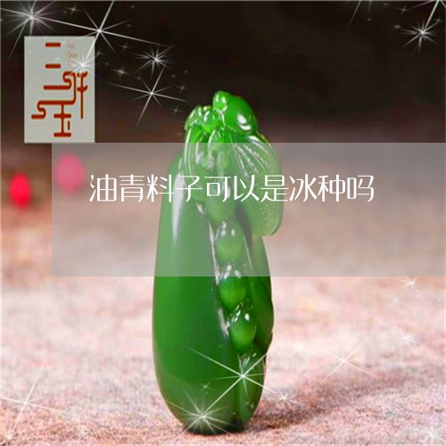 油青料子可以是冰种吗/2023081378263