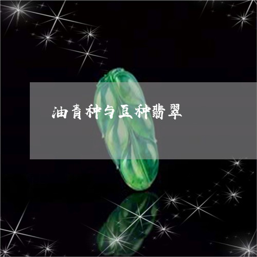 油青种与豆种翡翠/2023071478270