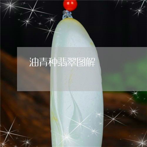 油青种翡翠图解/2023081553704