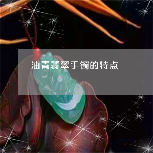 油青翡翠手镯的特点/2023031907362