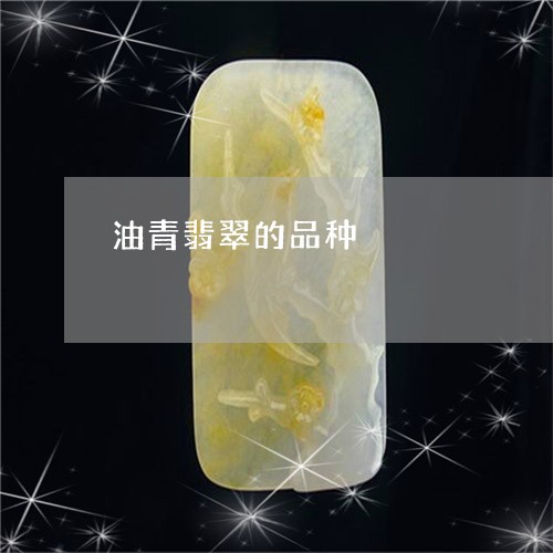 油青翡翠的品种/2023062260513