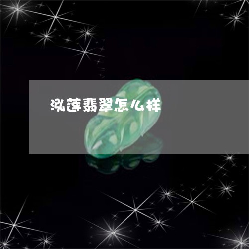 泓莲翡翠怎么样/2023081415069