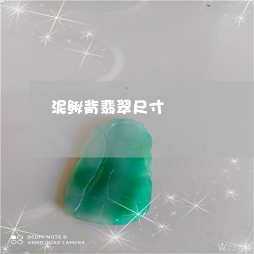 泥鳅背翡翠尺寸/2023052017046