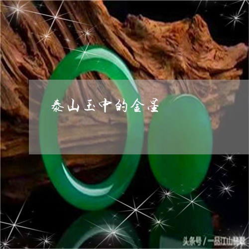 泰山玉中的金星/2023062236130