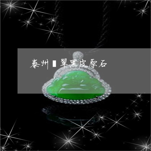 泰州翡翠黑皮原石/2023071492604