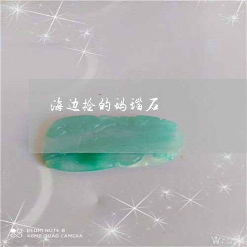 海边捡的玛瑙石/2023081573683