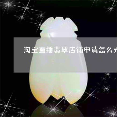 淘宝直播翡翠店铺申请怎么弄/2023112462615