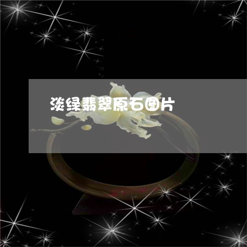 淡绿翡翠原石图片/2023122013695