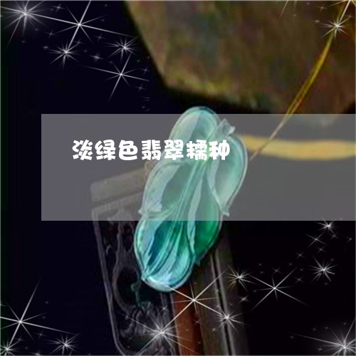 淡绿色翡翠糯种/2023042746271