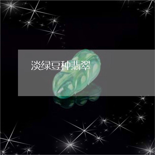 淡绿豆种翡翠/2023060406240