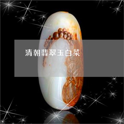 清朝翡翠玉白菜/2023081477281