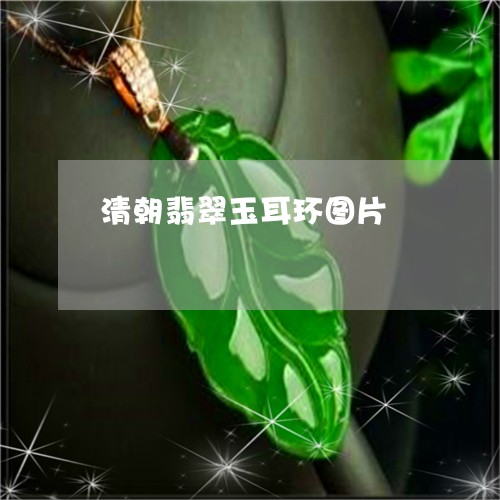 清朝翡翠玉耳环图片/2023031872936