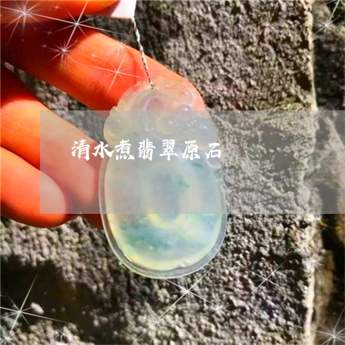 清水煮翡翠原石/2023062284916