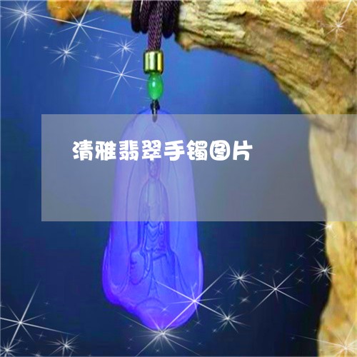 清雅翡翠手镯图片/2023071451507