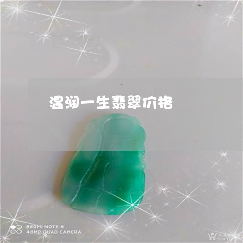 温润一生翡翠价格/2023121959373