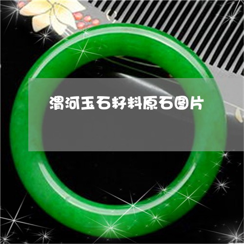 渭河玉石籽料原石图片/2023081282624