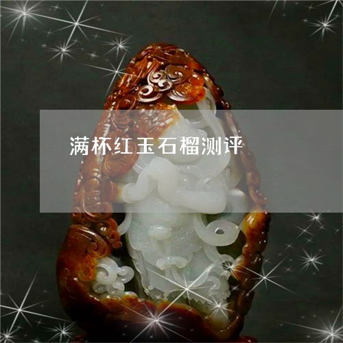 满杯红玉石榴测评/2023111505947