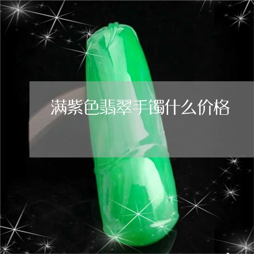 满紫色翡翠手镯什么价格/2023110250593