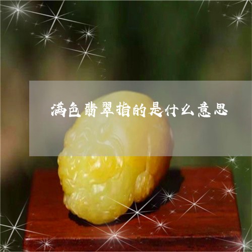 满色翡翠指的是什么意思/2023062806149