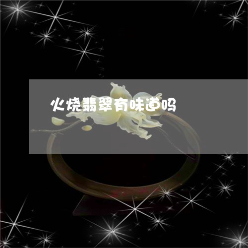 火烧翡翠有味道吗/2023071305026