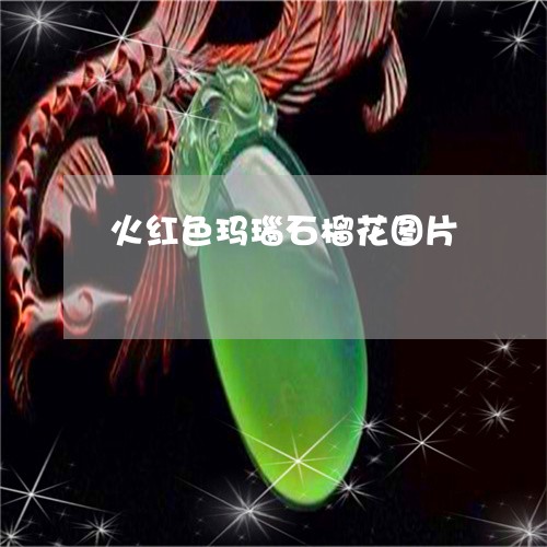 火红色玛瑙石榴花图片/2023110191503