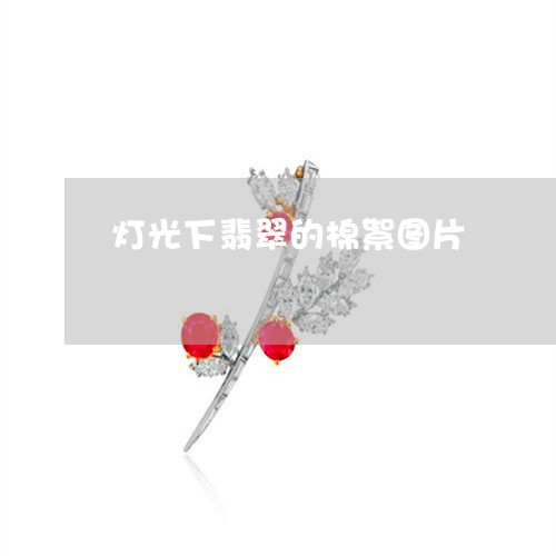 灯光下翡翠的棉絮图片/2023110112817