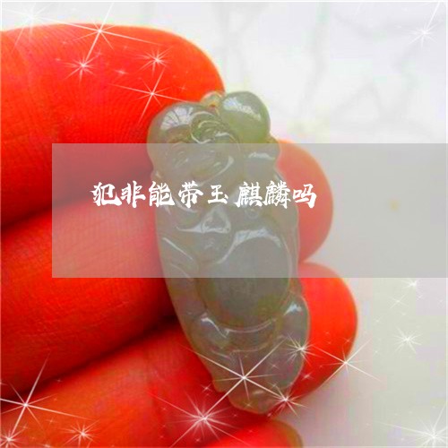 犯非能带玉麒麟吗/2023042824736