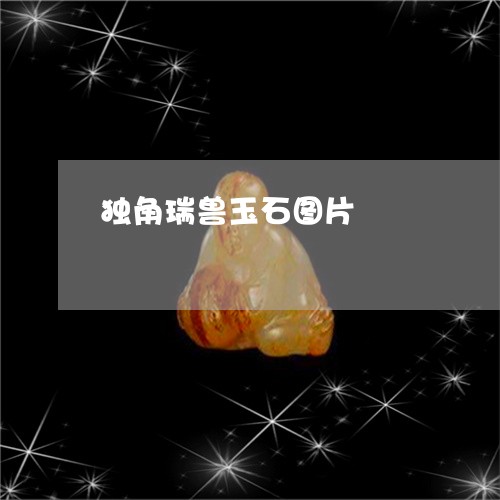 独角瑞兽玉石图片/2023061761503