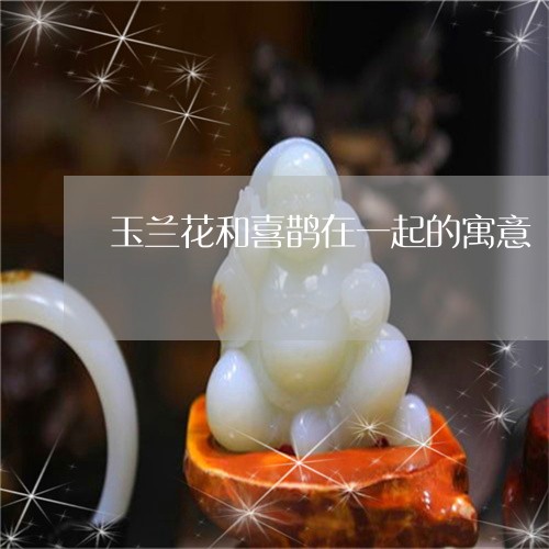 玉兰花和喜鹊在一起的寓意/2023060937282