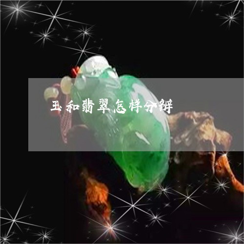 玉和翡翠怎样分辨/2023071202815