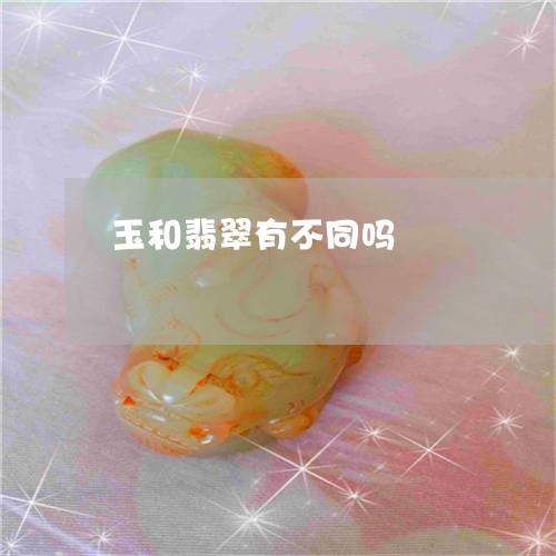 玉和翡翠有不同吗/2023061618252