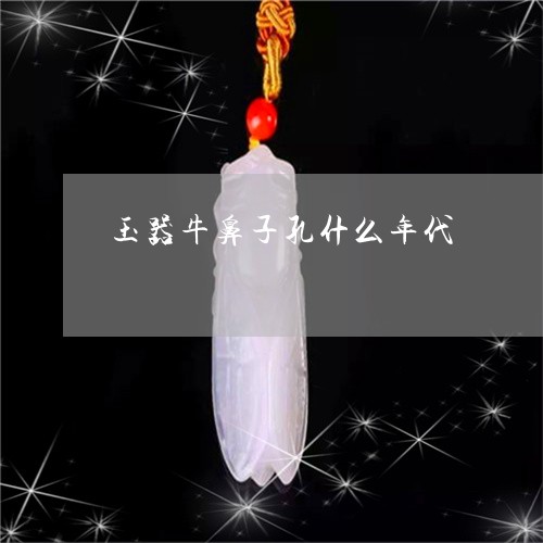 玉器牛鼻子孔什么年代/2023051167385