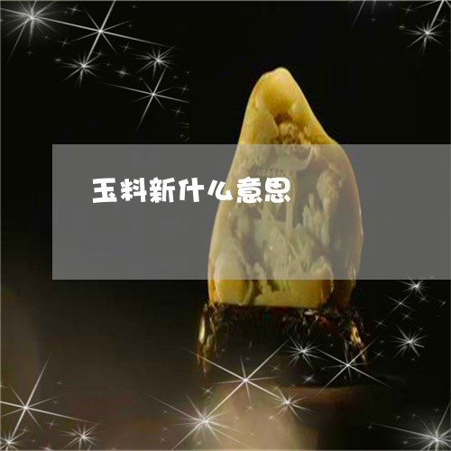 玉料新什么意思/2023042794937