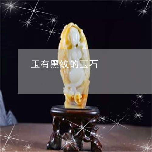 玉有黑纹的玉石/2023062118361