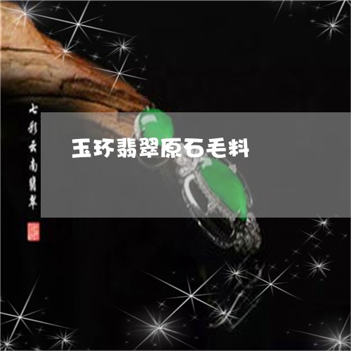 玉环翡翠原石毛料/2023071292514