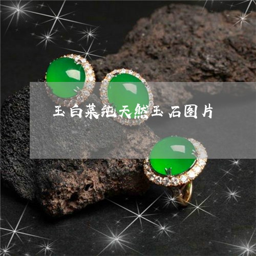 玉白菜纯天然玉石图片/2023092804819