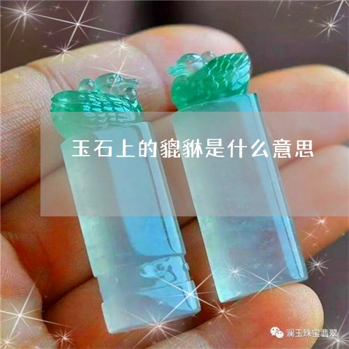 玉石上的貔貅是什么意思/2023110209482