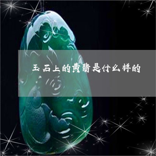 玉石上的黄翡是什么样的/2023062802804