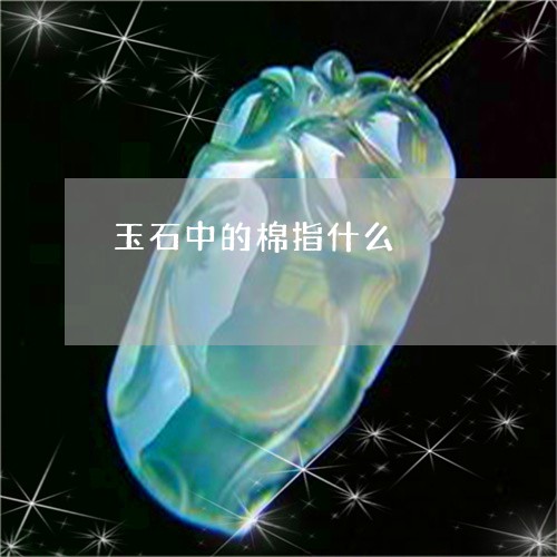 玉石中的棉指什么/2023071280593