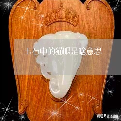 玉石中的猫眼是啥意思/2023092998360