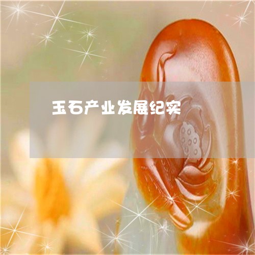 玉石产业发展纪实/2023061669592